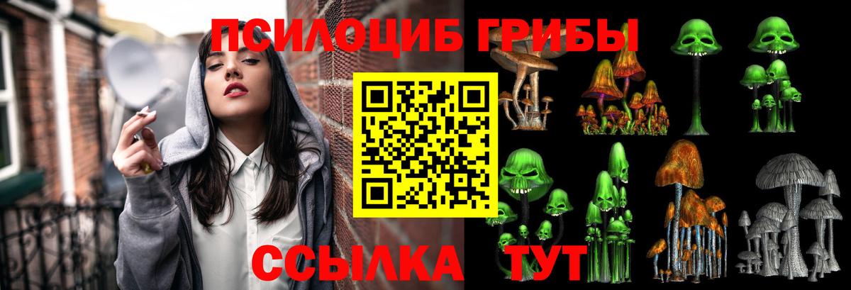 Псилоцибиновые грибы MAGIC MUSHROOMS  Вход с VPN  Лесозаводск 